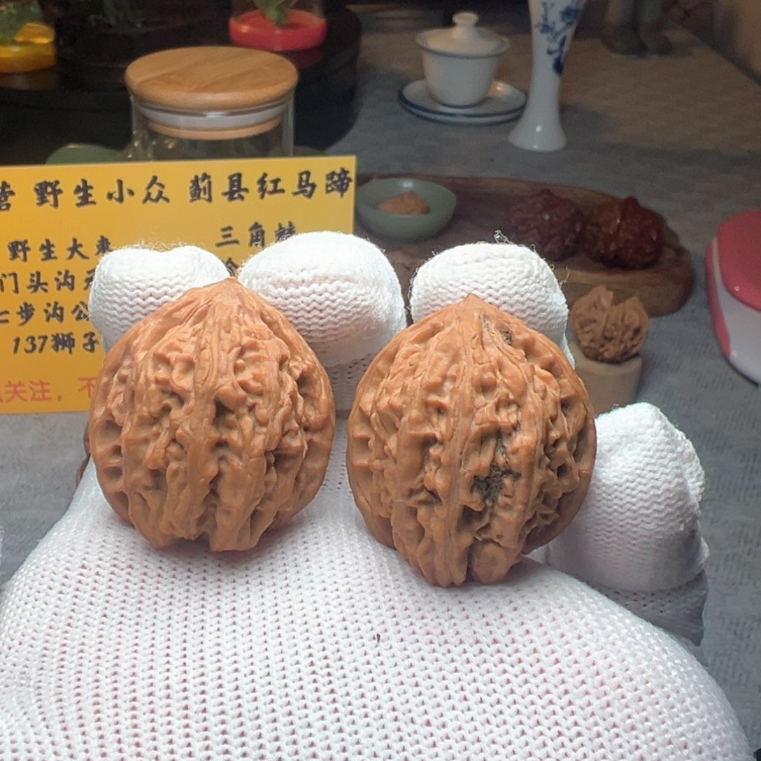 文玩核桃吊坠野生虎11162