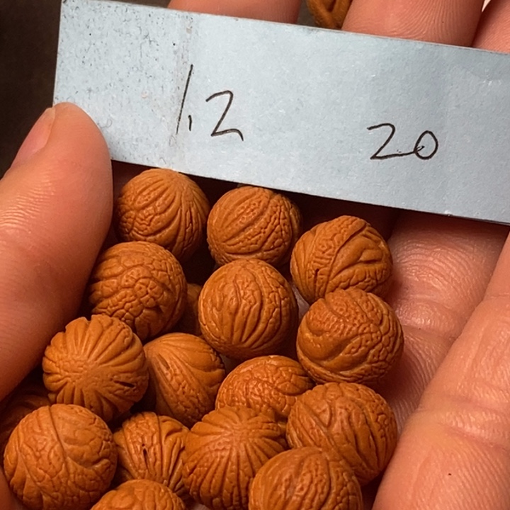 吊坠桃核陕西秦岭山桃核