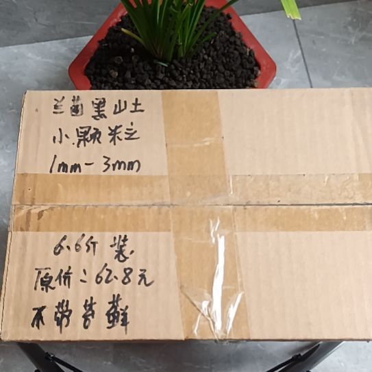 虎***哥兰菌黑山土小颗粒6.6斤