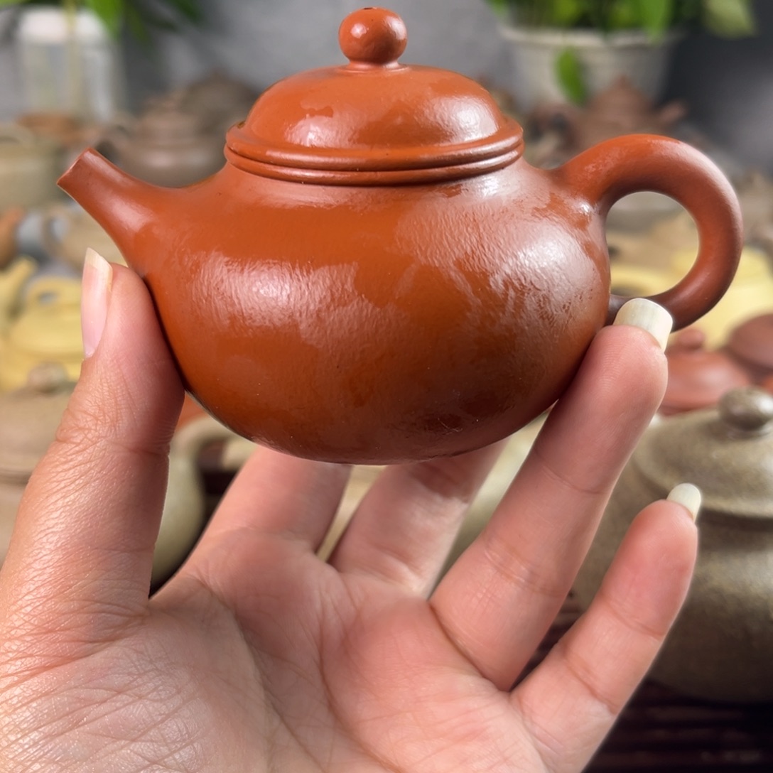 茶壶紫砂紫砂…………