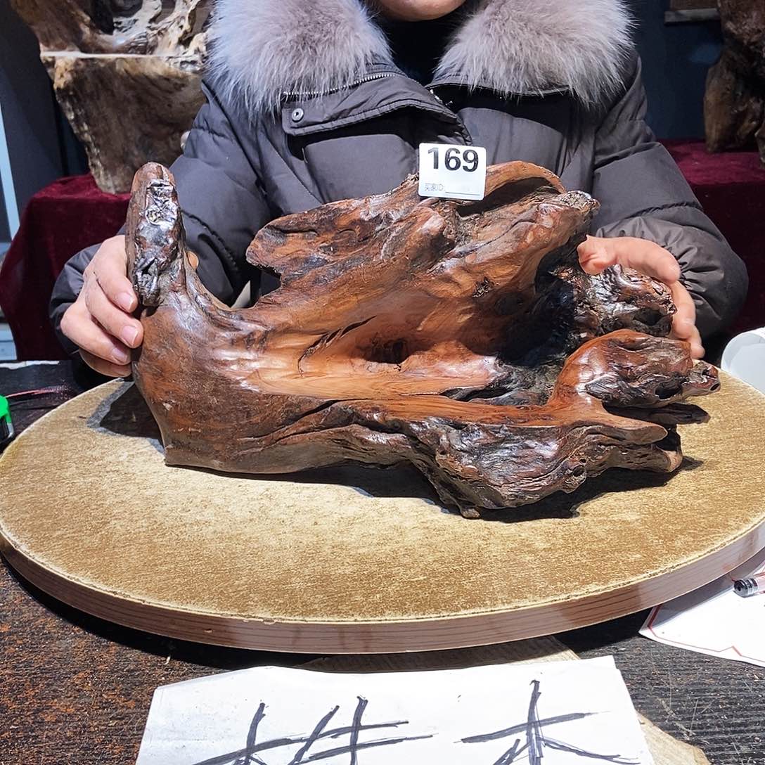 一***堂169。株木随行根艺