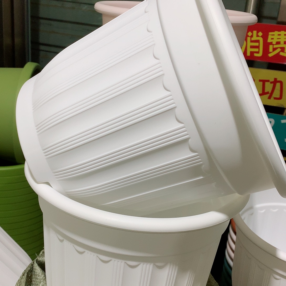 罗马口28白4个无托