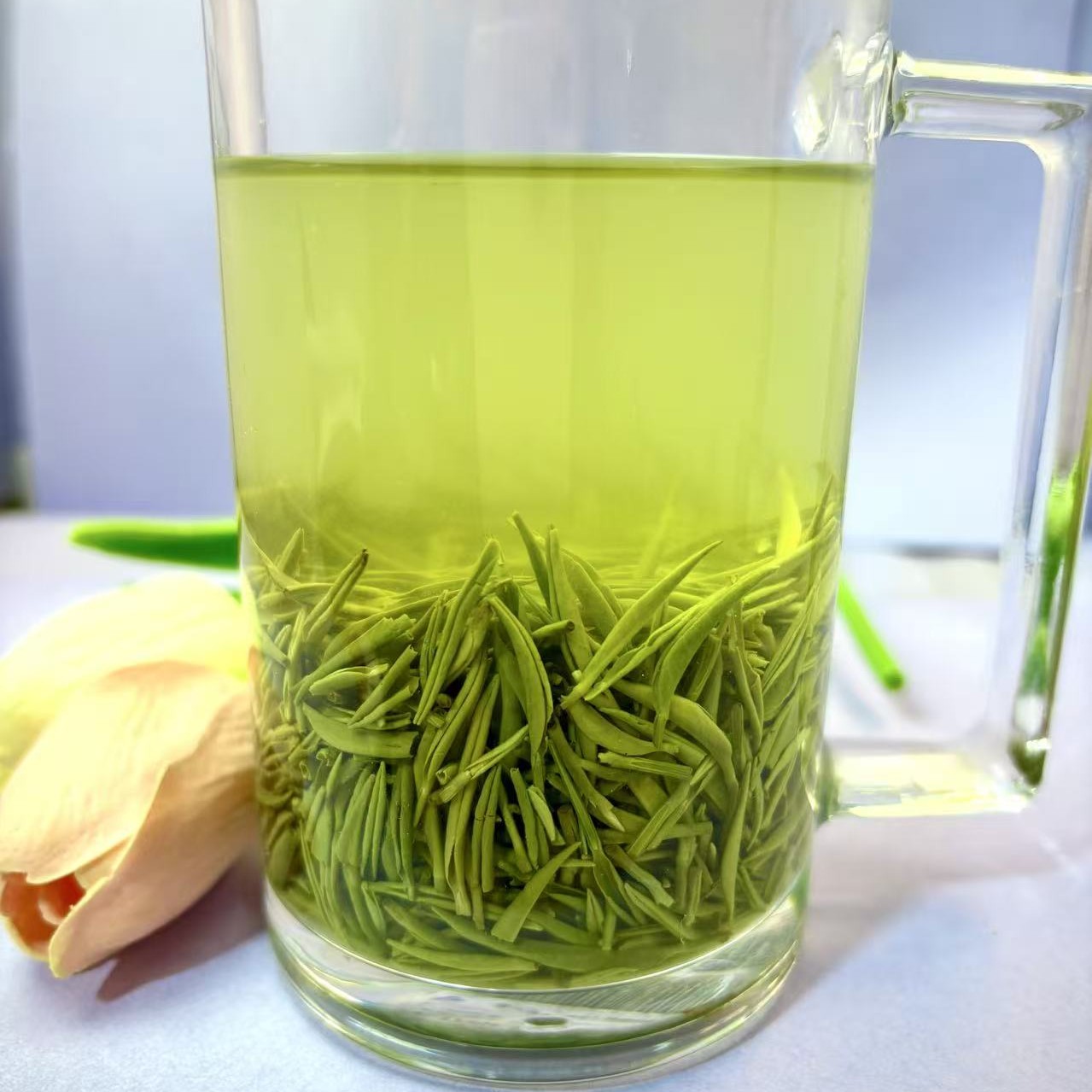 【2025年】茶姐茶妹 白露小芽