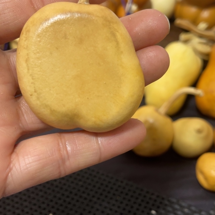 凡****葫芦哈哈哈哈哈哈哈哈