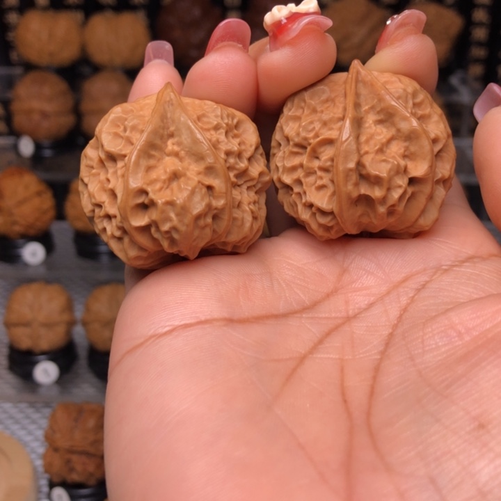 橄榄核吊坠34生命之源