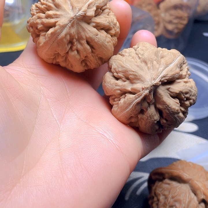 文玩核桃吊坠道*子霸王龙一对