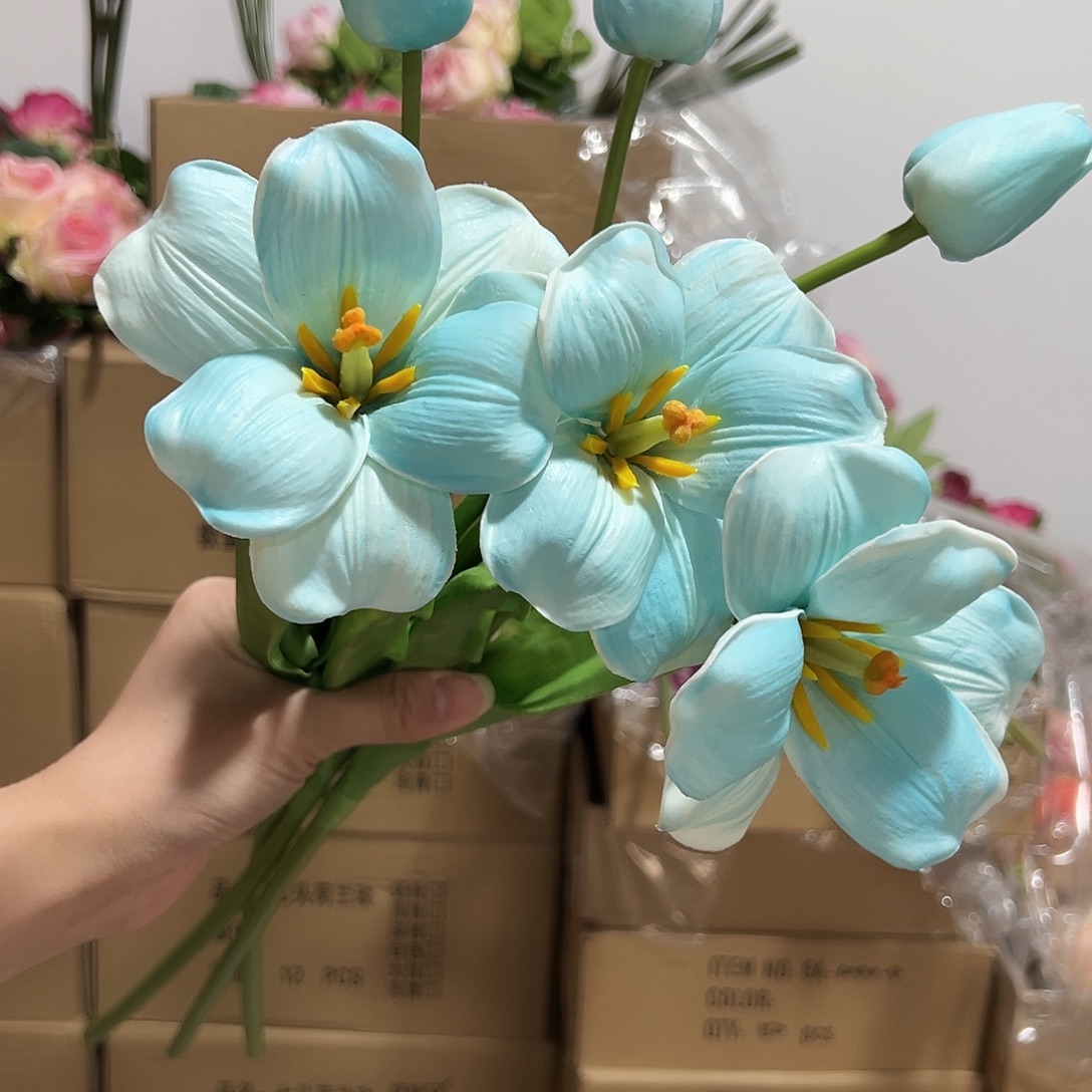 3枝蓝色2头布朗尼郁金香