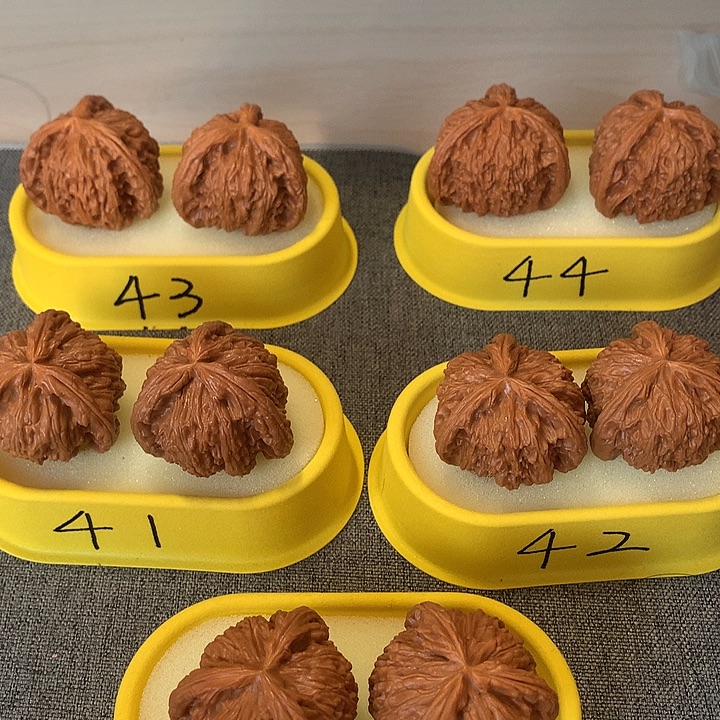 时***熙吊坠文玩核桃11111111