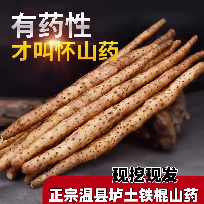 【正宗】温县铁棍山药怀山药焦作垆土地新鲜怀山药现挖现发