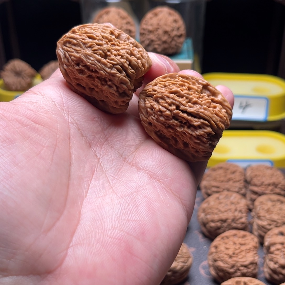 把件文玩核桃韩*逐鹿高炮