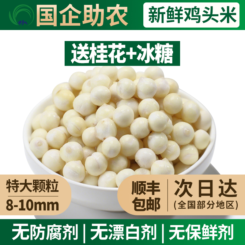 【国企助农】苏州苏芡鸡头米农产品大颗粒头茬8-10mm实发两斤下单即送冰糖桂花鸡头米