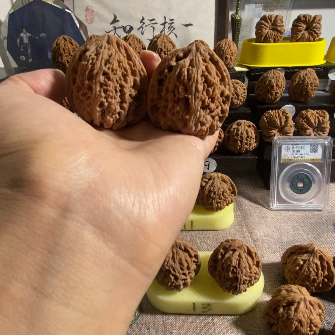 木质类44尺58克一代福利对