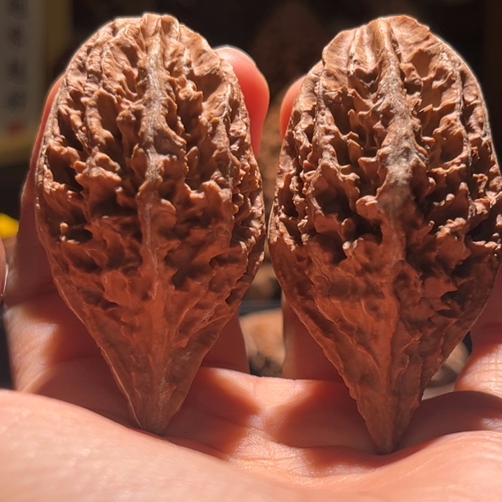 文玩核桃吊坠老树龙纹39