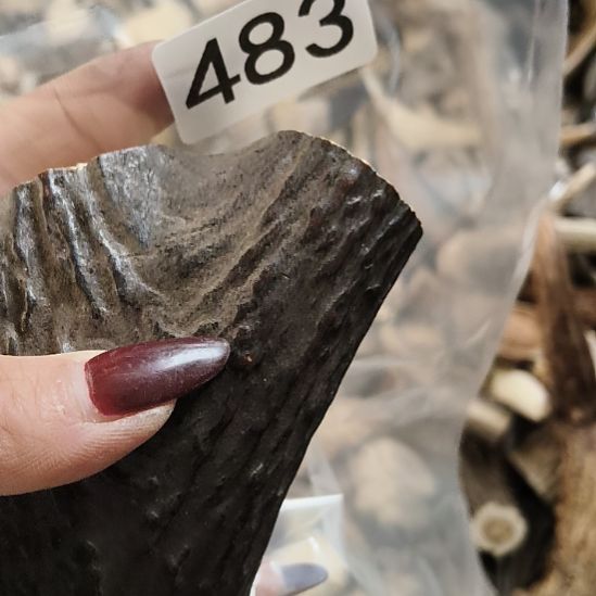 跳****鹿角鹿角鹿角鹿角鹿角鹿角