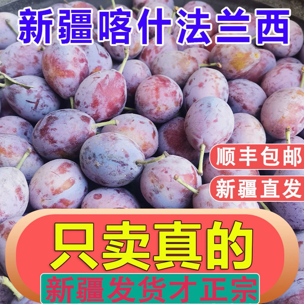 新疆法兰西西梅新鲜现摘当季水果