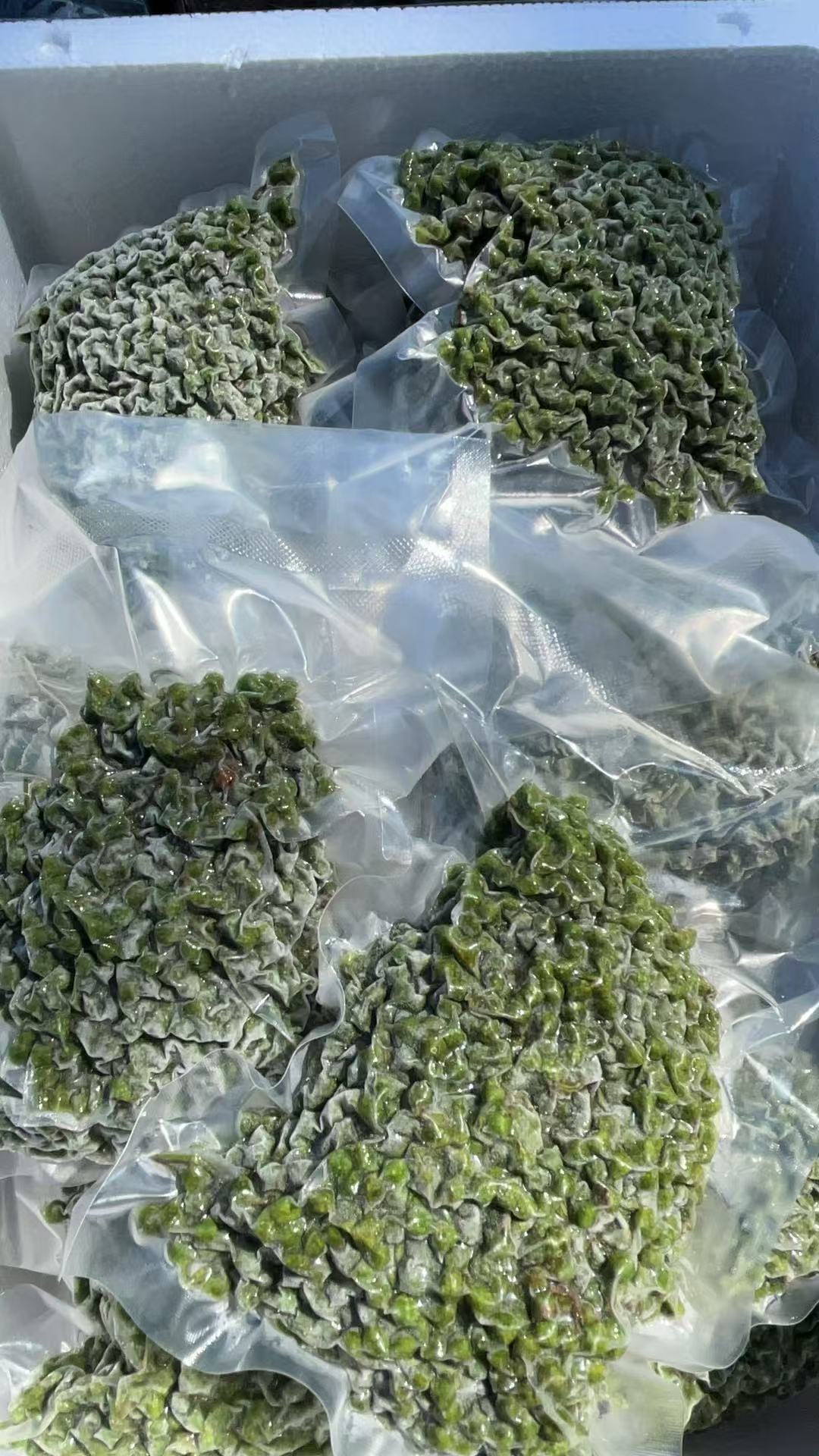 贵州程寨大合水新鲜冻花椒