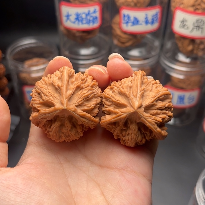 把件文玩核桃41御龙粗筋