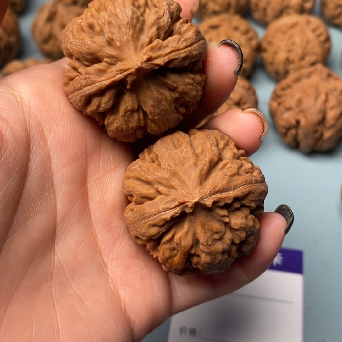 吊坠文玩核桃Y*霸王龙39