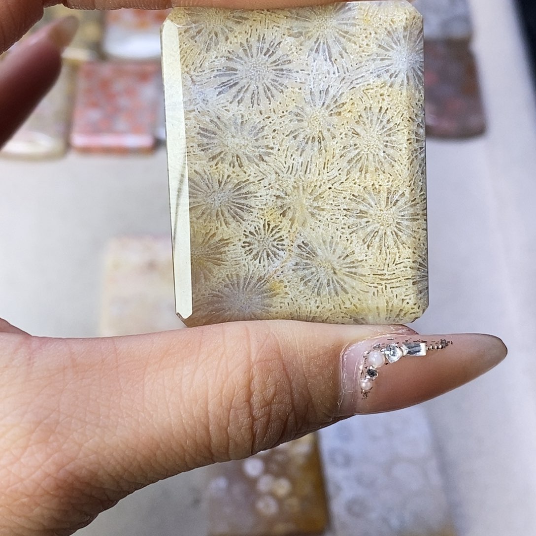 查罗石合金颈饰F***.