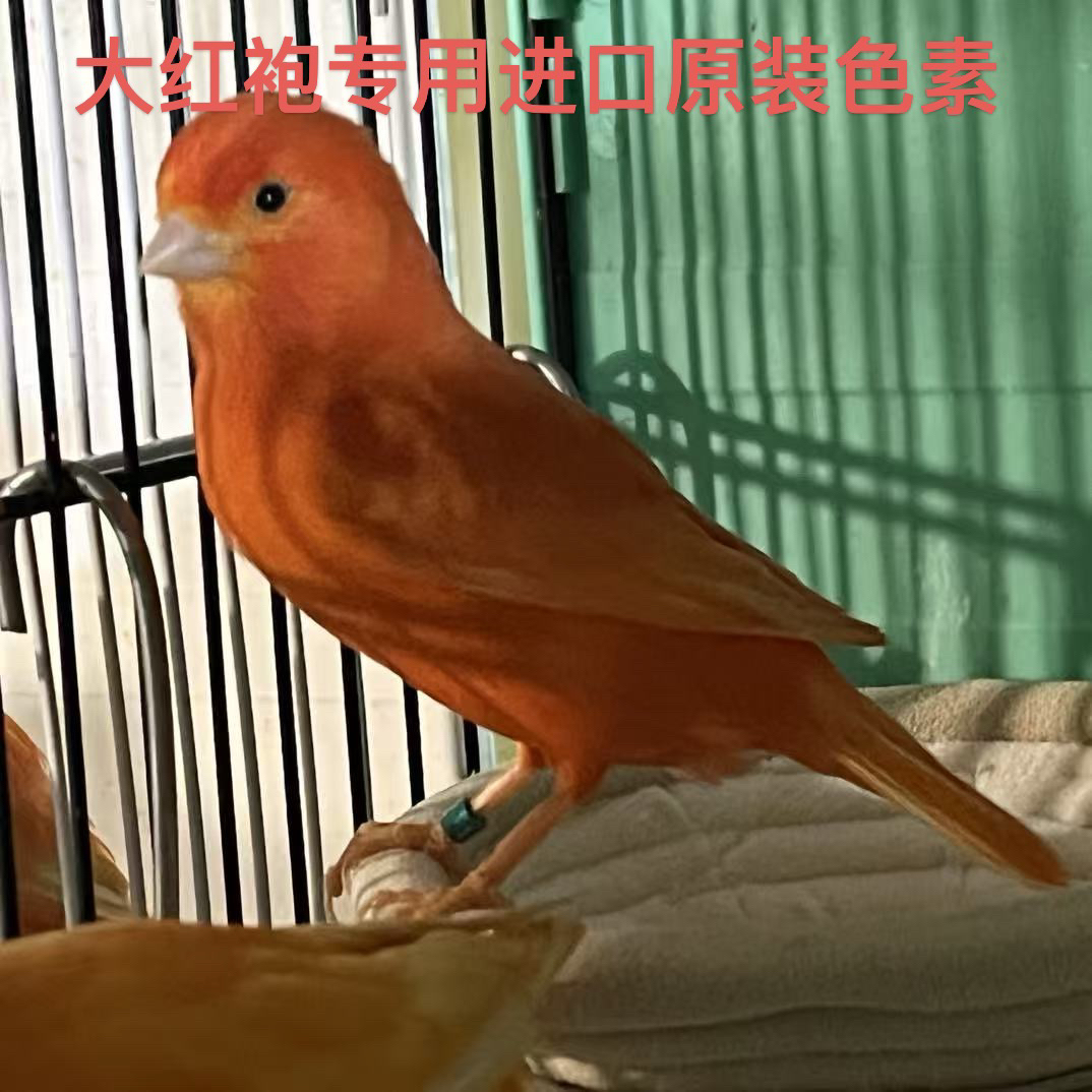原装进口鸟类色素，20克分装，偏远地区不包邮
