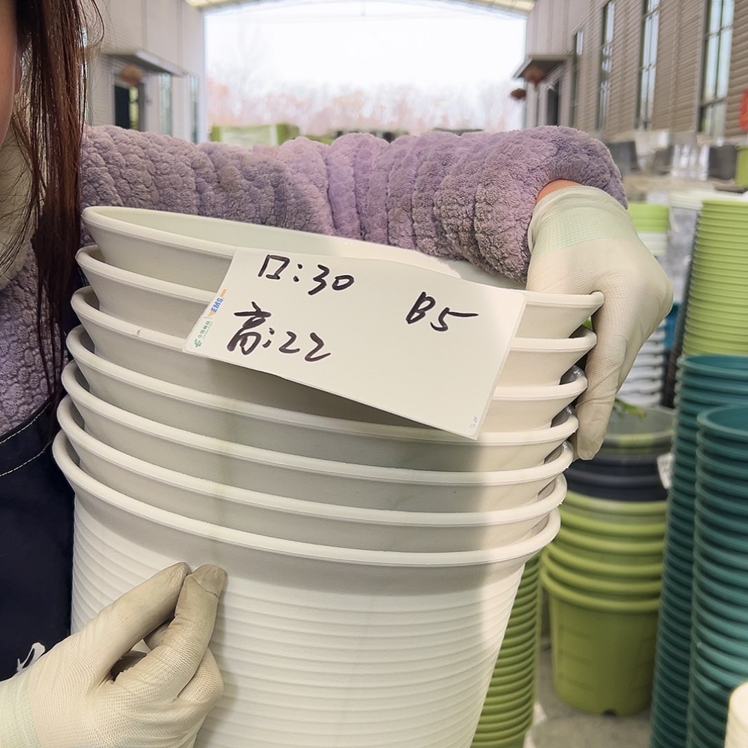 瑕疵仿陶B5米白5个无托