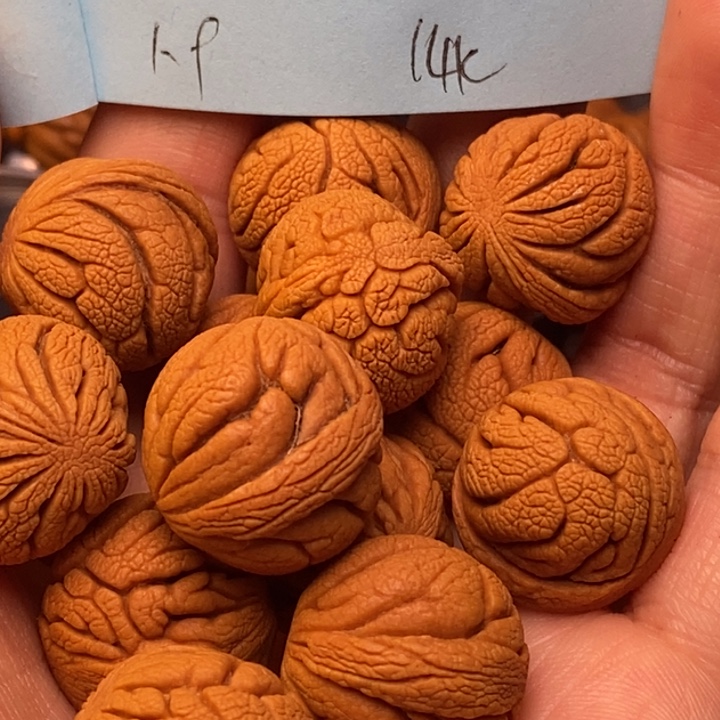 吊坠桃核秦岭龙纹桃核19尺寸