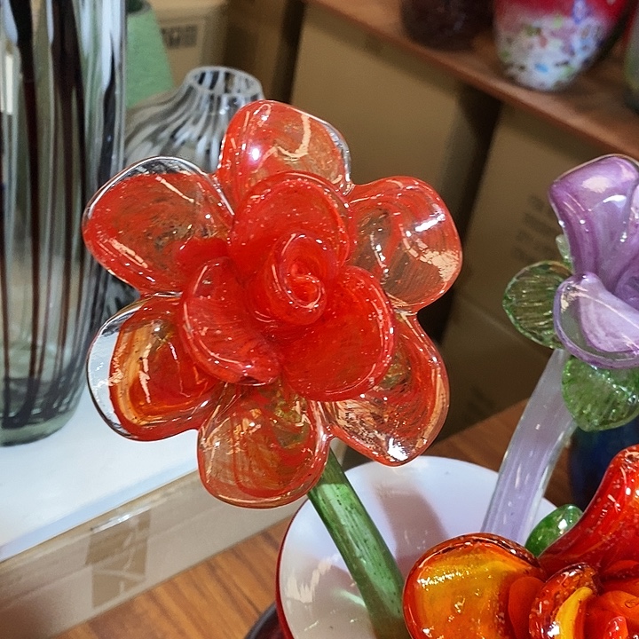 夜光花高45厘米了10厘米