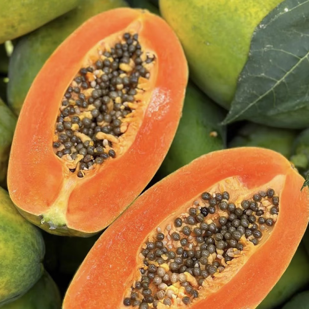 【骑手配送】冰糖木瓜一个850克左右海南省