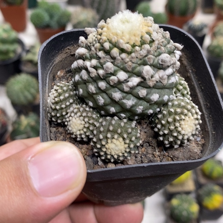 墨碟群特价福利特价