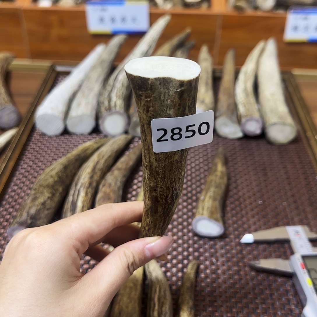 鹿骨手串/手链角尖2850