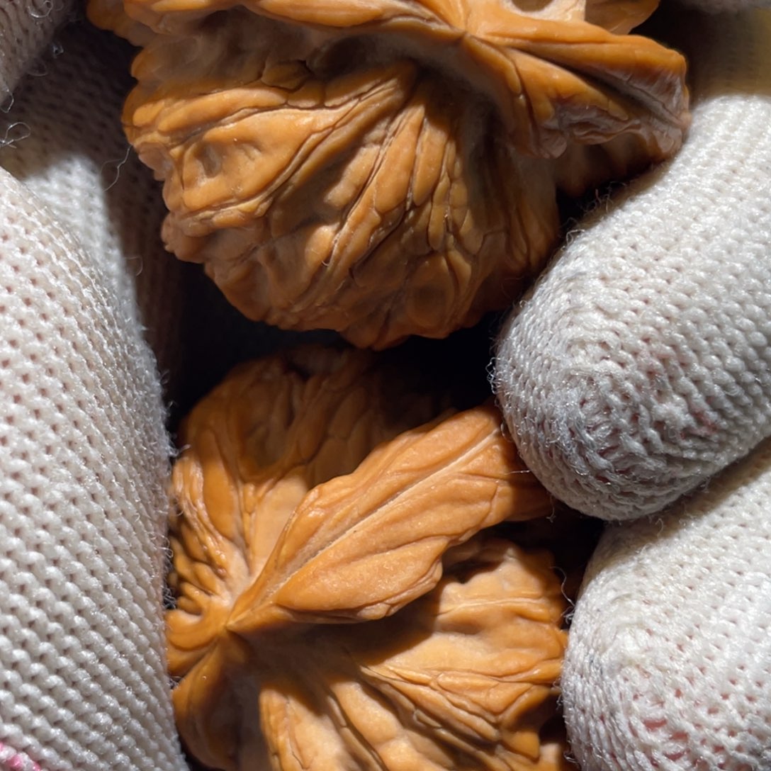 文玩核桃吊坠夏*森红锦鲤