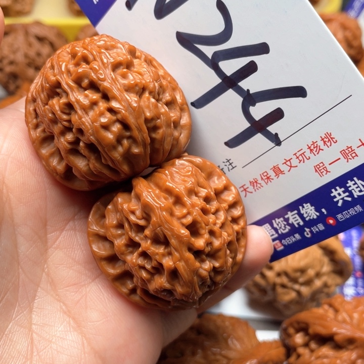 文玩核桃把件白狮子38尺