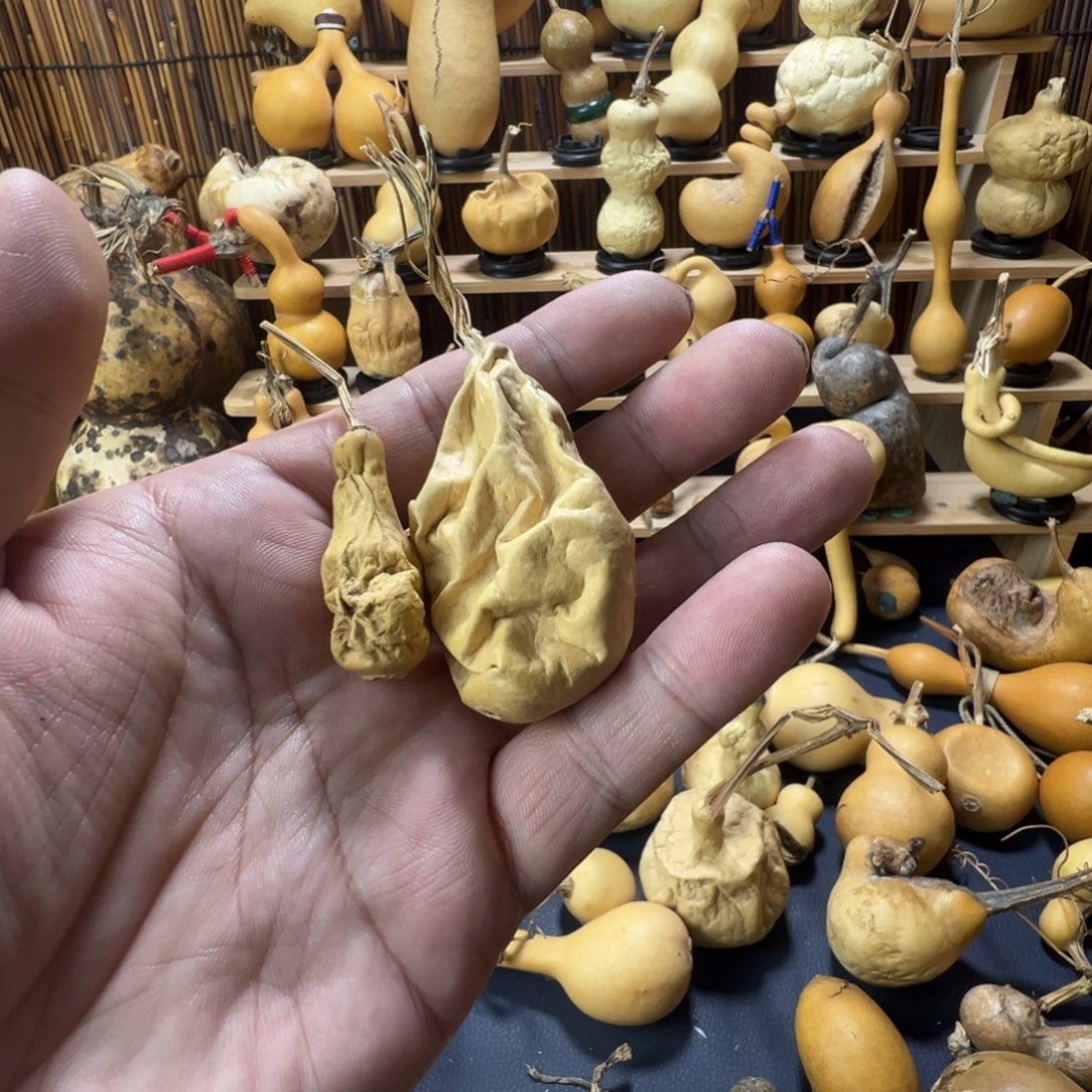 抽抽精品葫芦厚皮