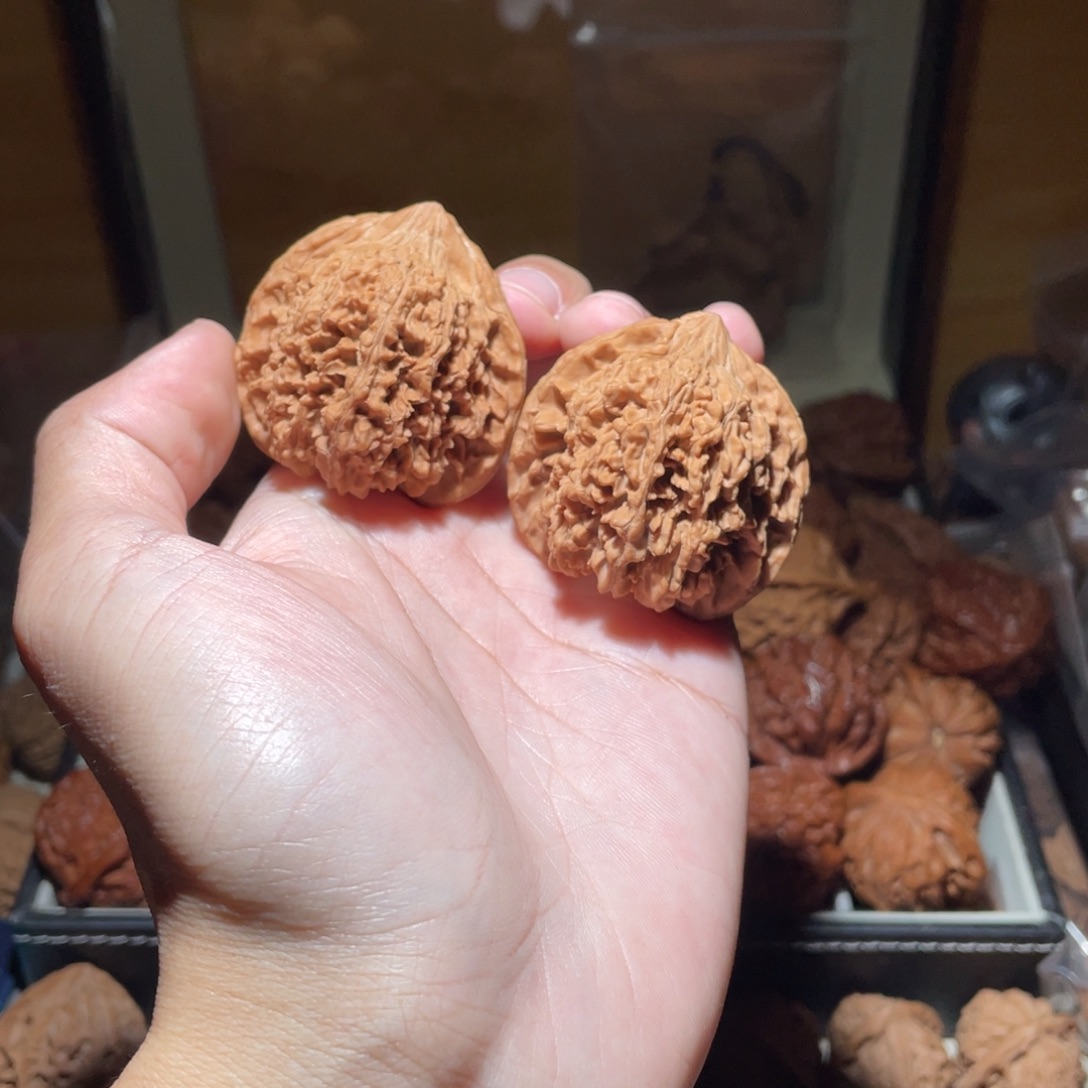 44百花山满天星狮子头