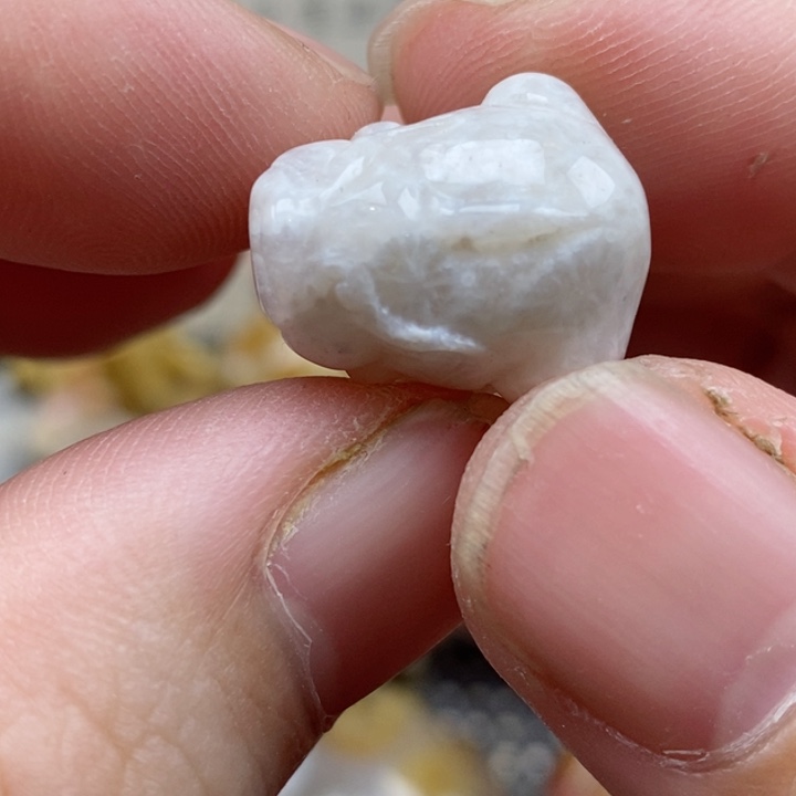 颈饰未镶嵌硅化珊瑚（珊瑚玉）通孔 小