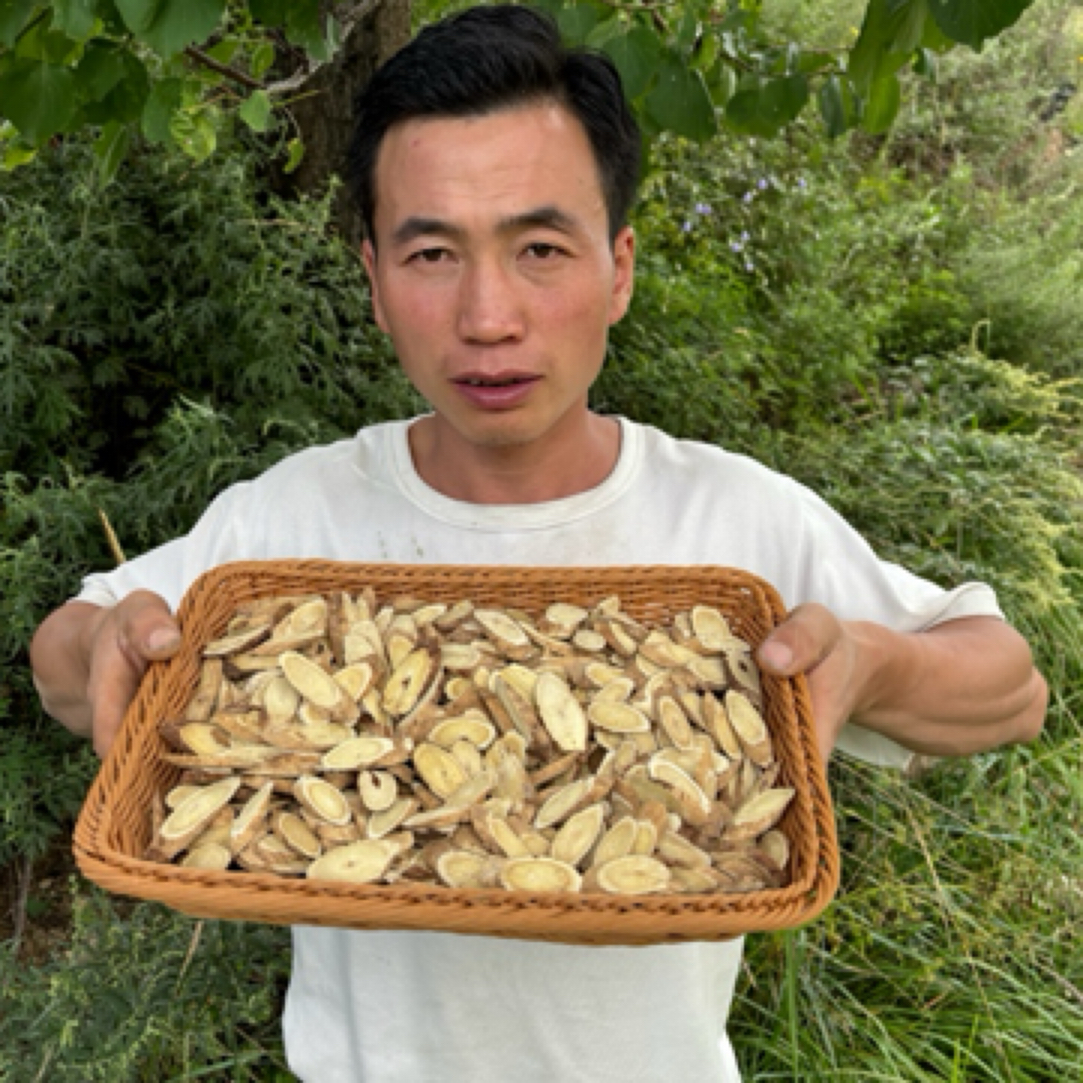原产地甘肃岷县黄芪