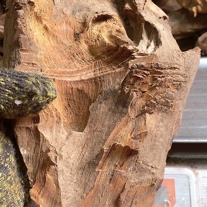 花梨木类简****玉降香黄檀