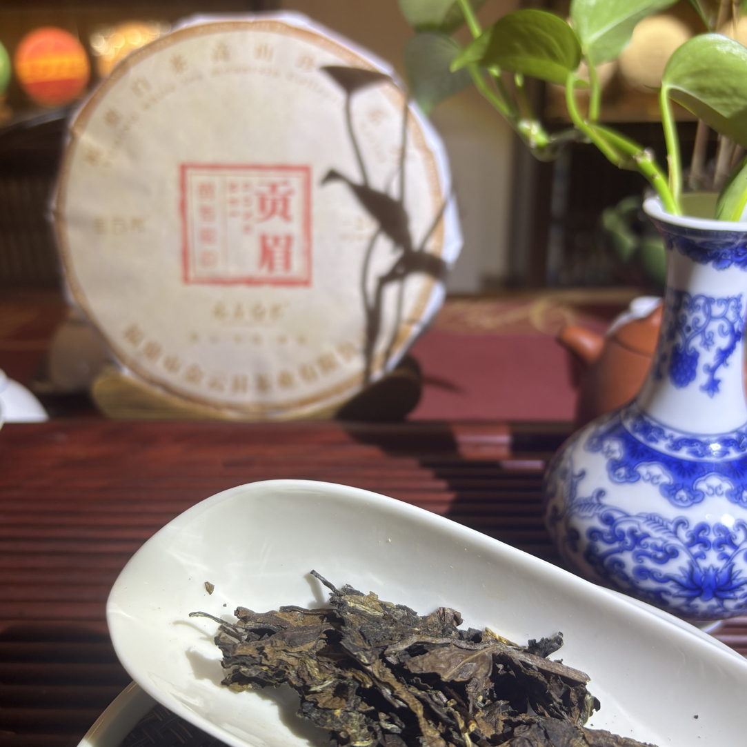 福鼎潘溪2016贡眉