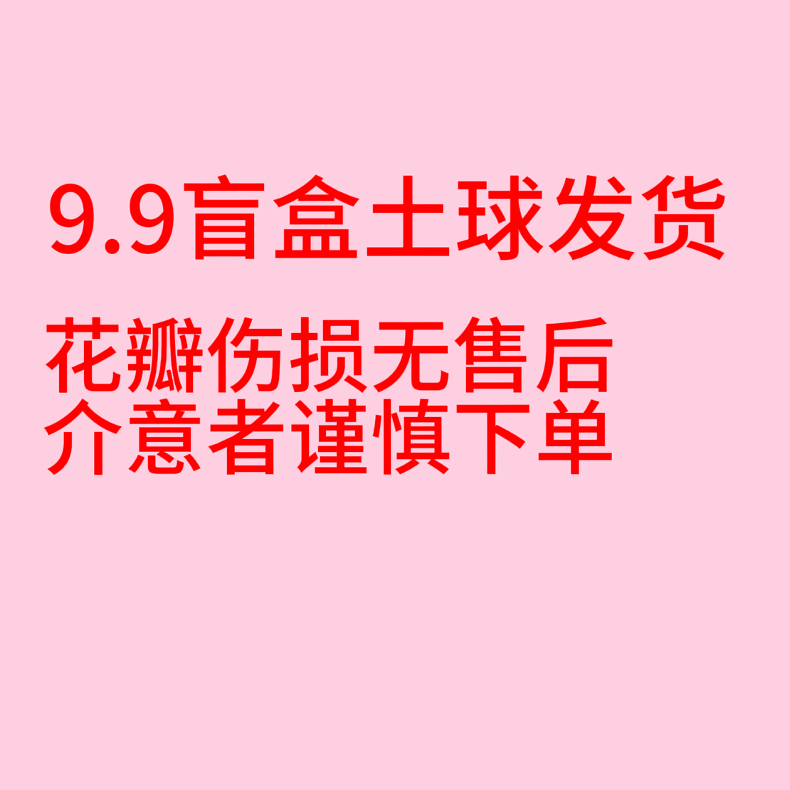 【老根花瓣伤损无售后土球发】玻璃心勿拍 发出无售后九月大菊