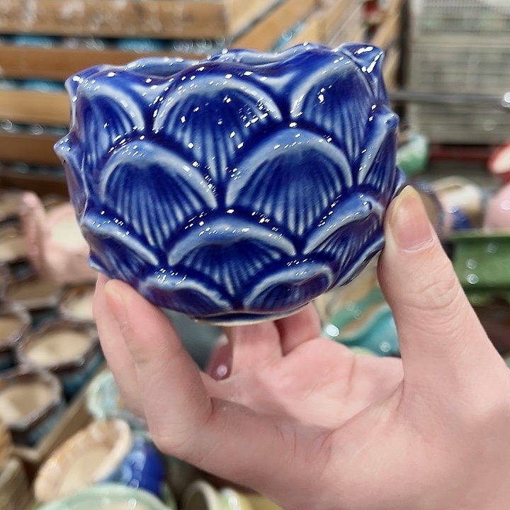 陶瓷凑单10元发货！