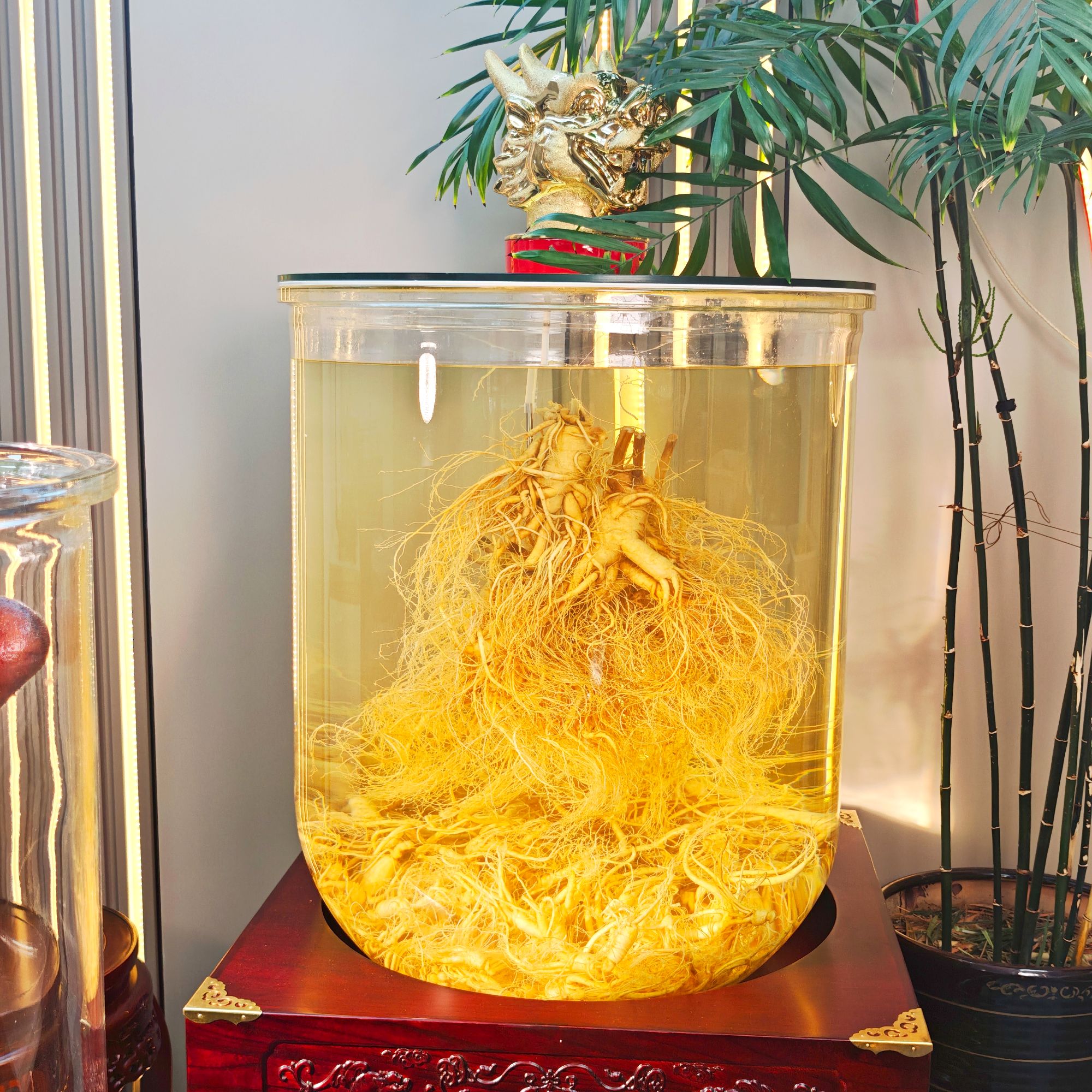 20斤长白山新鲜林下参鹿茸整支泡酒
