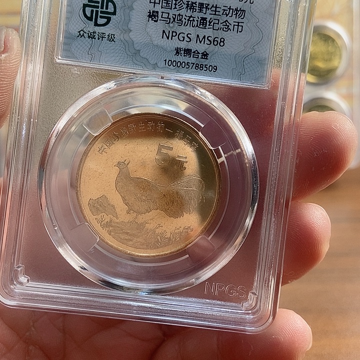 合金你**？褐马鸡509号啊啊啊啊啊