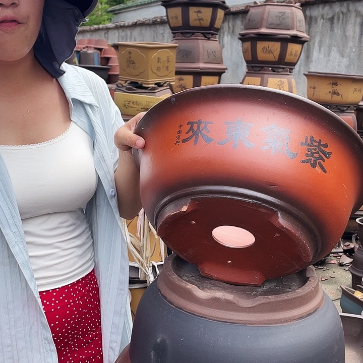 小红花盆花盆花盆花盆