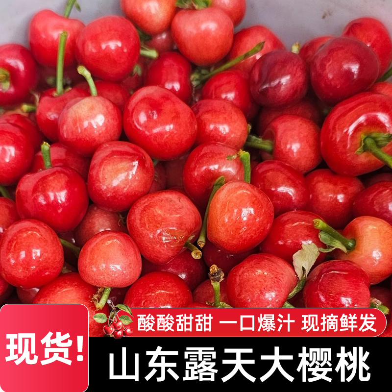 山东红樱桃头茬鲜果酸甜多汁儿时味道 XL-J 3/5斤装新鲜水果红灯山东省