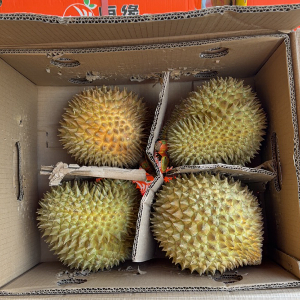 【金枕榴莲 】新鲜核小 一箱毛重16-17斤 B果3-4房肉！死包可以到店售后金枕越南