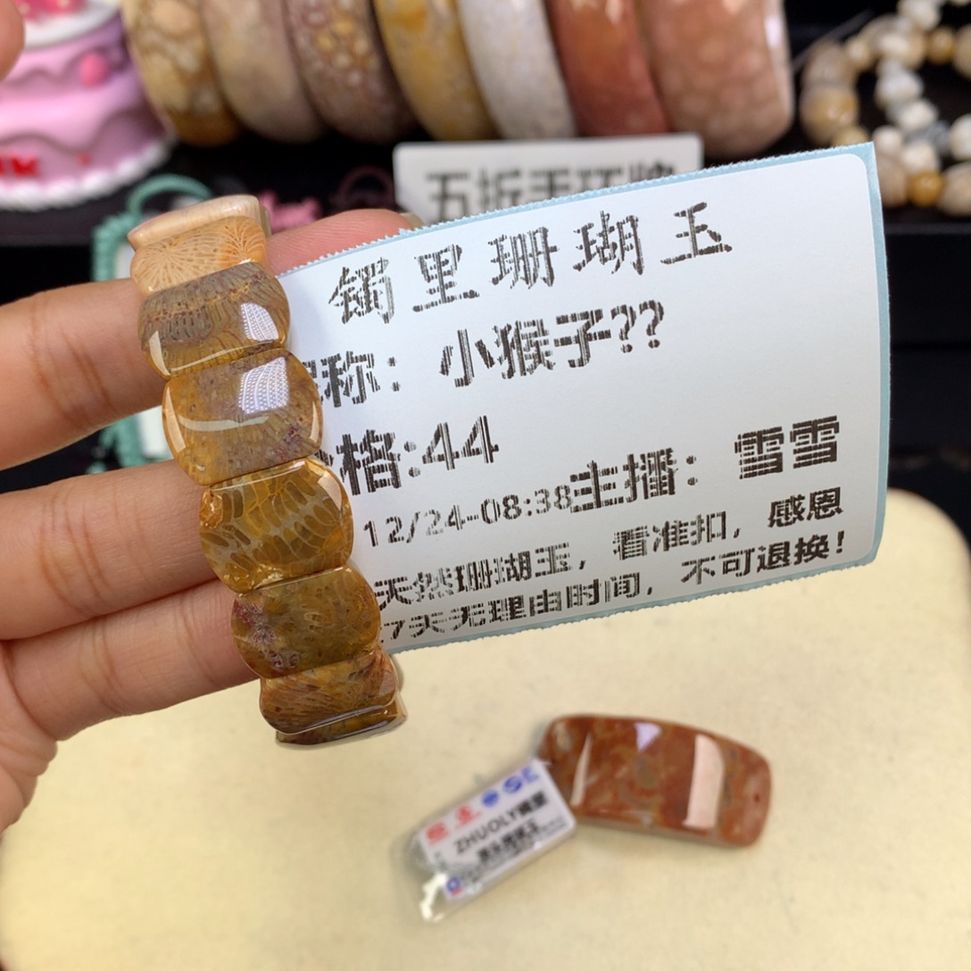 小****硅化珊瑚（珊瑚玉）未镶嵌吊坠(赠链)