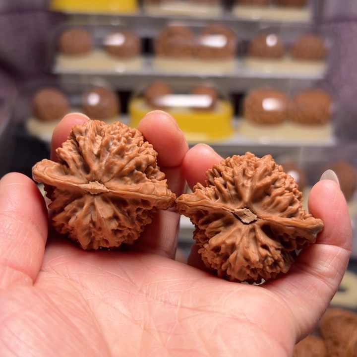 文玩核桃把件抖****1满天星