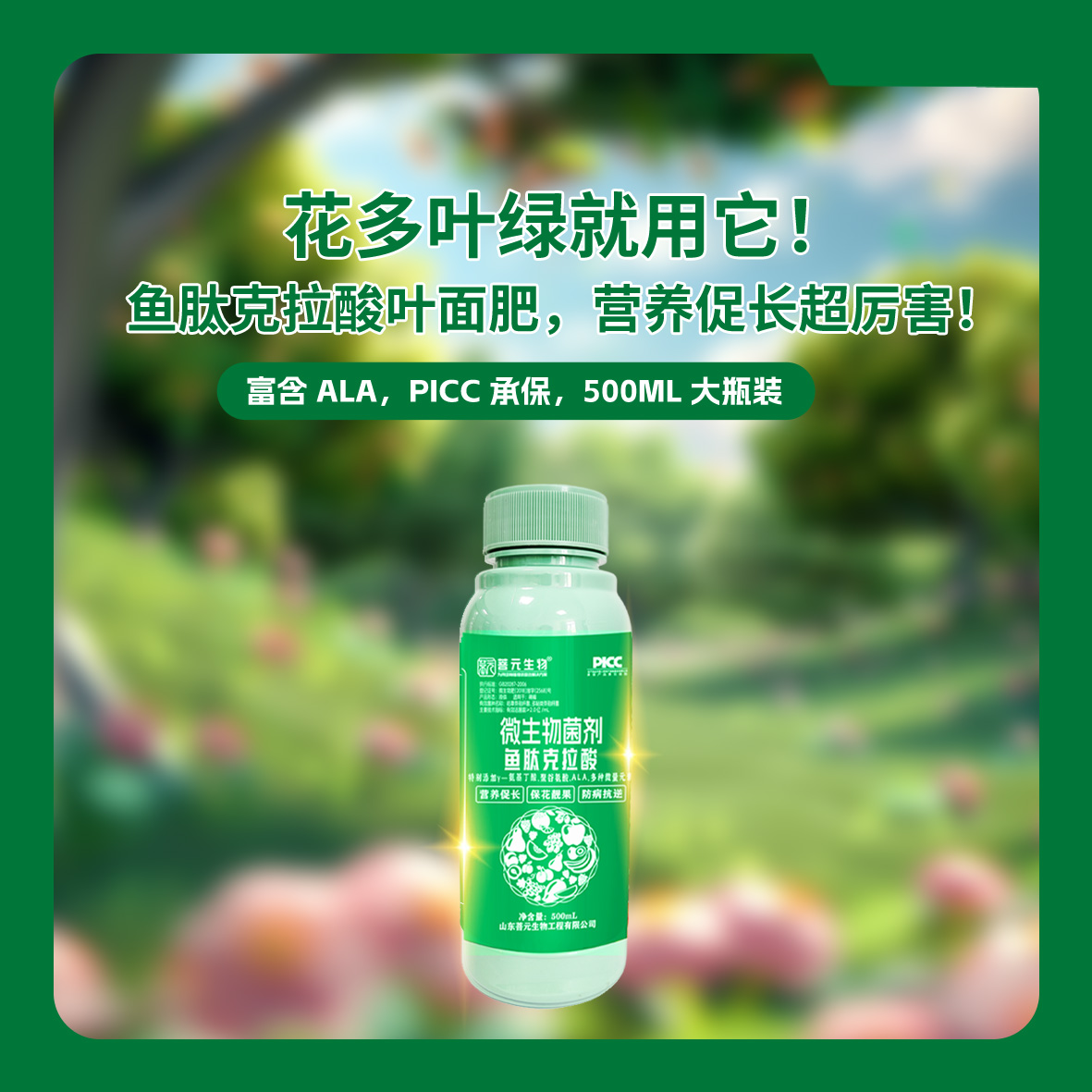 鱼肽克拉酸ALA补充微量元素叶面肥营养叶片萼片变绿促花提糖转色