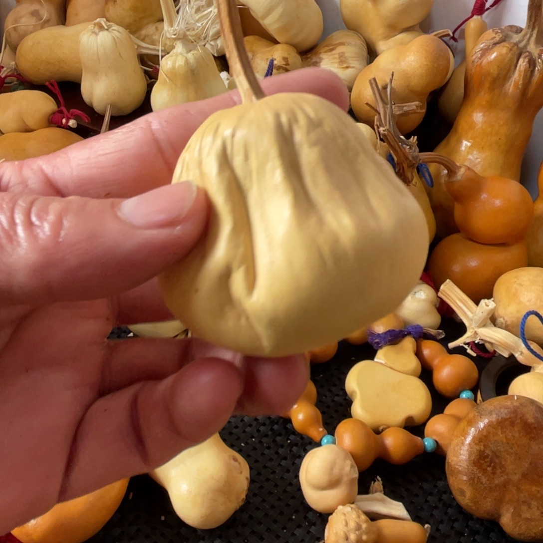 _****葫芦哈哈哈哈哈哈好家伙