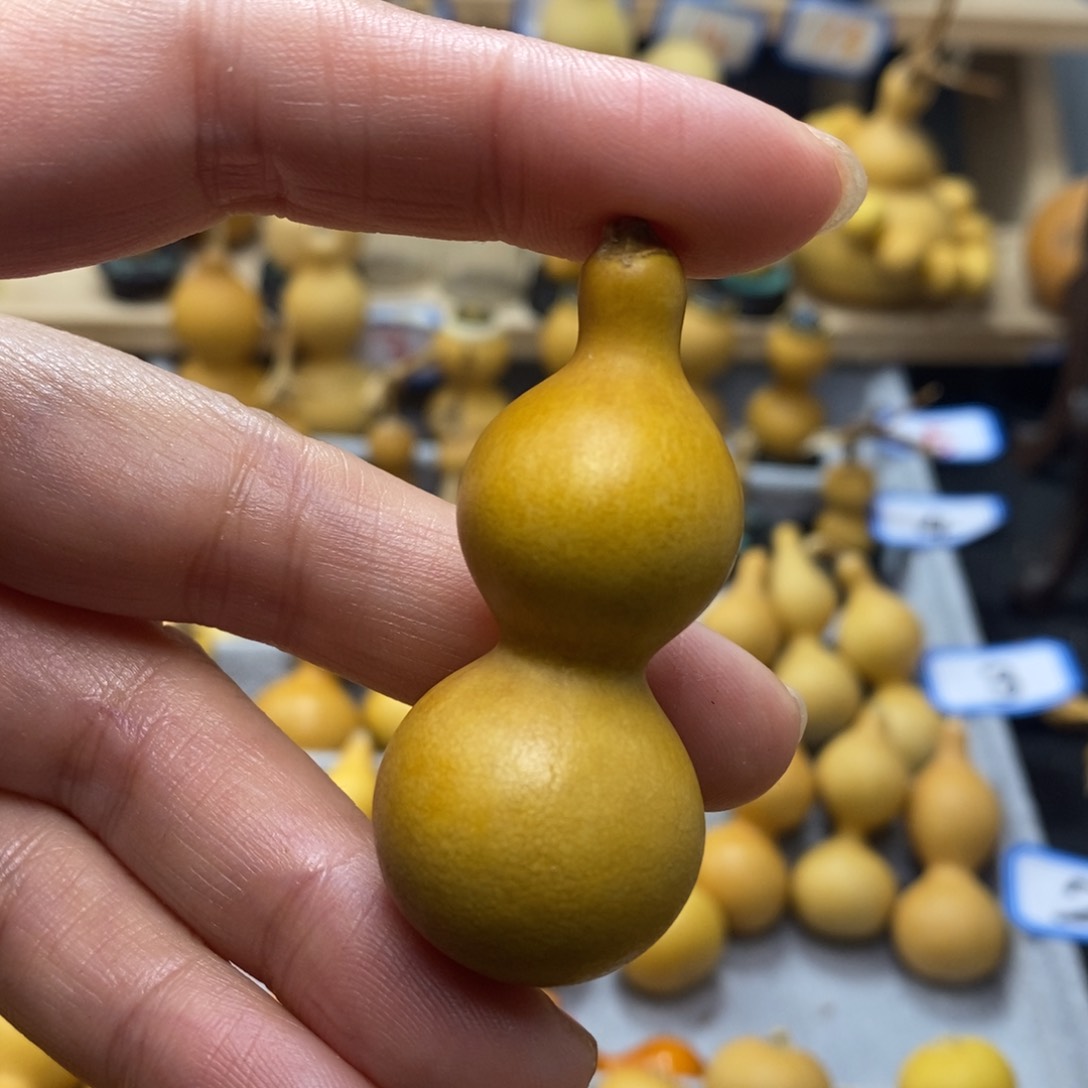 超直播间手把手小葫芦